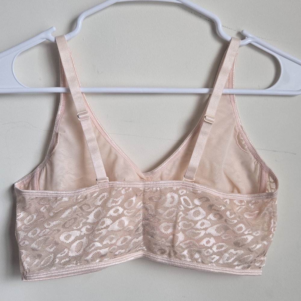 Ruby Ribbon Lace Demiette - Picture 2 of 5